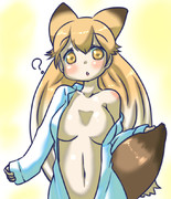 無知キタキツネ