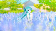 ラベンダー畑_Rellustration