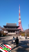 増上寺と東京タワー――お出かけエテカッテ