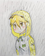 雨合羽キタキツネ