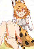 デジタルサーバル