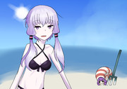 海
