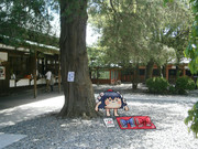 リボン屋さんを開くきめぇ丸さん