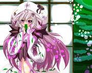 白無垢ホト