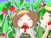 クラマくーん！おっきいトマトあった！！