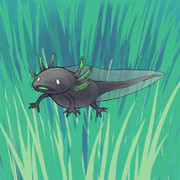 ウーパールーパー ニコニコ静画 イラスト