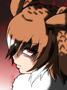 もう考えるのはやめたのです