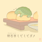 明石市（アカシッシ）ミピミピガメ