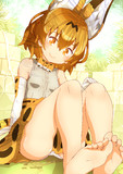 さーばるさん