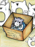 段ボール入り曙猫
