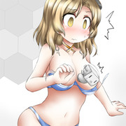 屋代が出ないのでボスマスでドロップした艦娘の水着が破れる