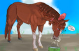 夏に弱いRU馬