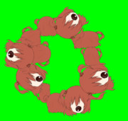 死相姉貴のいのちの輝き