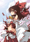 弾幕ごっこ後の博麗さん