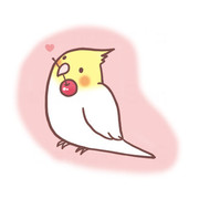 さくらんぼ