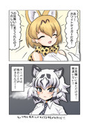 サーバルのお見舞いに来たホワイトタイガー