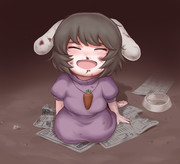 コウフクアイロニー