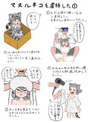 マヌルネコを虐待した①