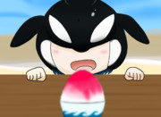 氷を食べたいシャチちゃん