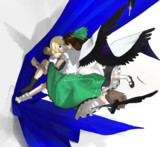 空前のケンカ・キック・カラス