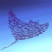 オニイトマキエイ