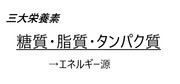 三大栄養素　家庭科教師のメモ