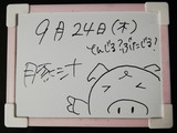 今日のホワイトボード20200924