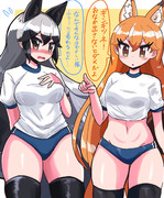 体操着ギンキタ