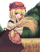 今年も実りました