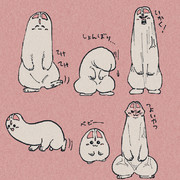 いろいろな珍こぱす