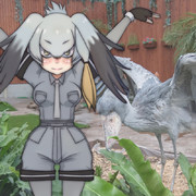 荒ぶってるわけじゃないハシビロコウのポーズ