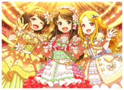 担当のSSR実装記念