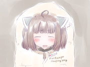 きりたんぽのシュラフとか欲しい妄想～