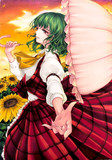 東方Project 風見幽香