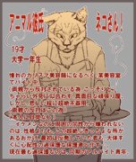 GOHAN　ネコさんと！