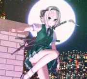 妖夢ちゃん夜を往く