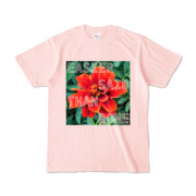 Tシャツ ライトピンク Invective_HANA