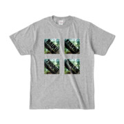 Tシャツ 杢グレー BXZQ_Fairy