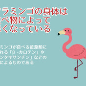 豆知識 ニコニコ静画 イラスト