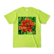 Tシャツ ライトグリーン Invective_HANA
