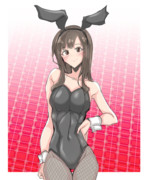 バニー本ゆかり