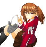 ｼﾞｯｰ(　・ω・)