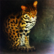 猫系動物の表情