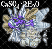 CaSO4･2H2O