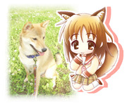 【わん娘】愛犬を擬人化