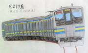 横須賀線　E217系