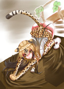 チーターさん…