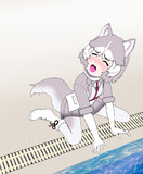 とくべつくんれん(みずべ)イエイヌ