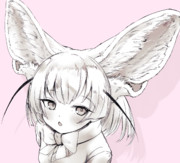 フェネックの耳でかい。好き