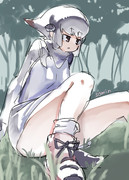 アデリーペンギン